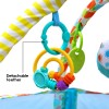 Little Story 3-in-1 Ball Pit / Play Yard and Activity Gym - Tortoise